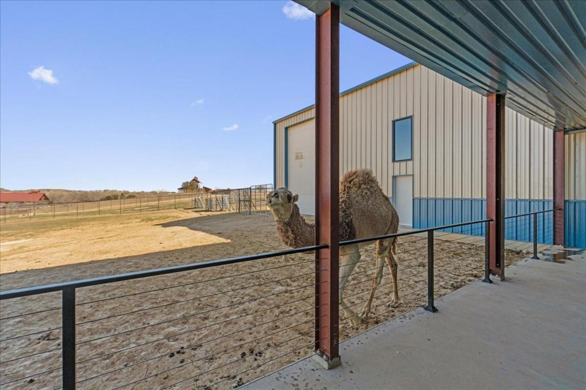 מלון McGregor Blue Hills Ranch מראה חיצוני תמונה
